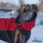 Basic softshell pulcsi - egyszínű