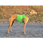 Láthatósági mezek