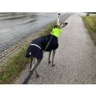 Őszi softshell esőkabát